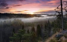 Landscape nature forest mist fall sky clouds trees Custom Gaming Mat Desk