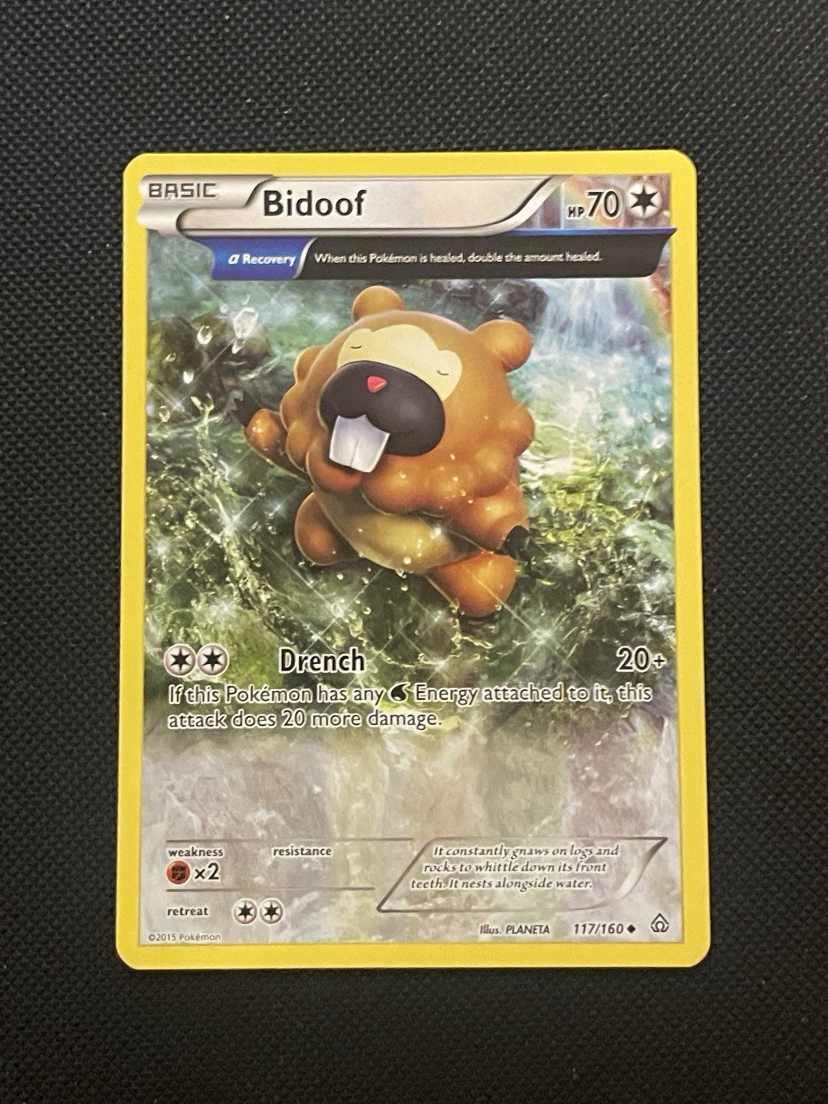 Bidoof (Alpha) 117/160 XY Primal Clash Pokemon TCG  LP