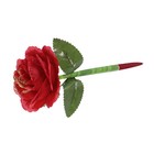 Foto 11 di 11