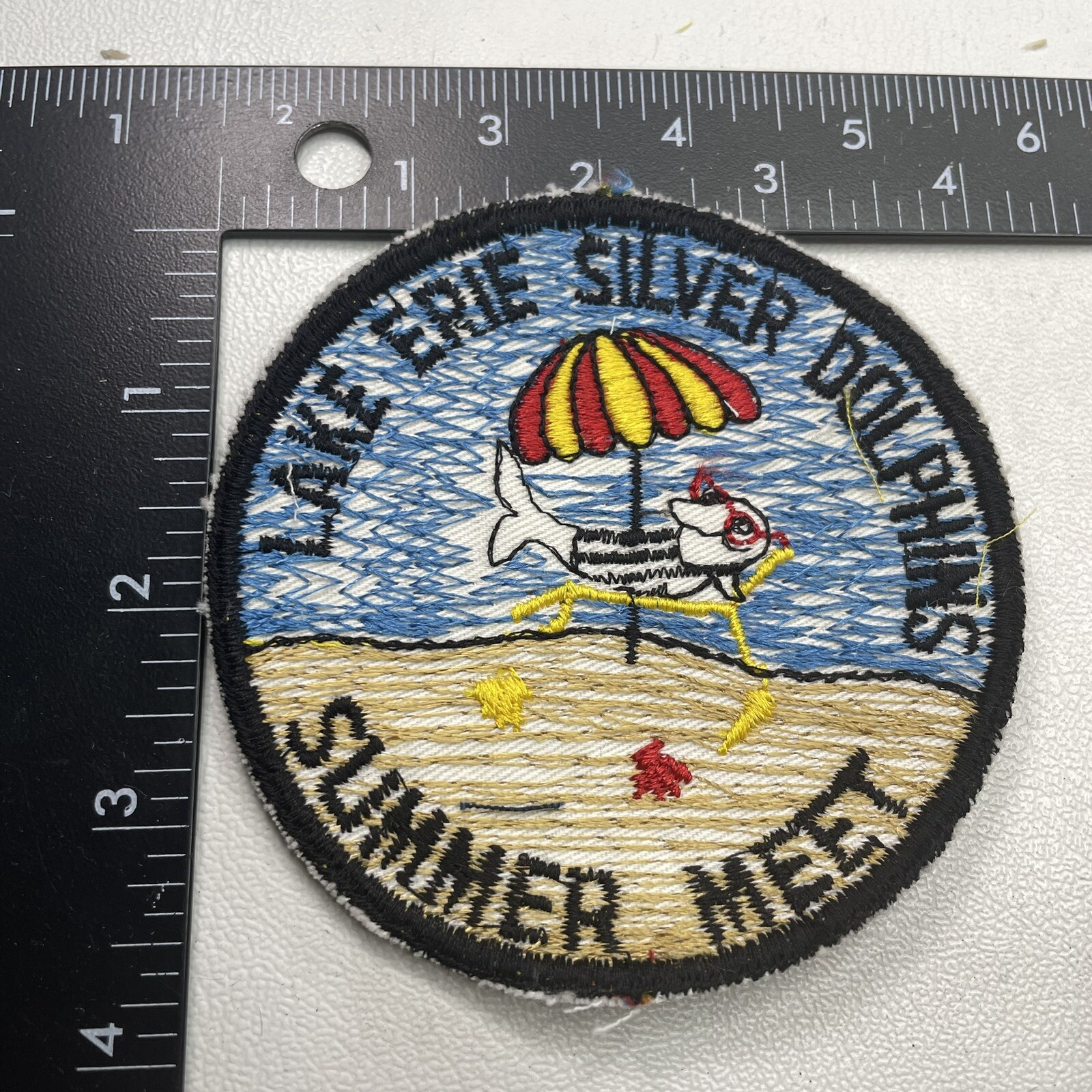 Anthropomorphic Dolphin LAKE ERIE SILVER DOLPHINS SUMMER SWIM MEET anthropomorphic-dolphin-lake-erie-silver-dolphins-summer-swim-meet