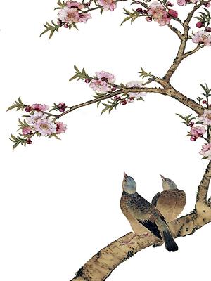 TURTLEDOVE PEACH BLOSSOM by Ju Lian Tile Mural Kitchen Backsplash Marble Ceramic