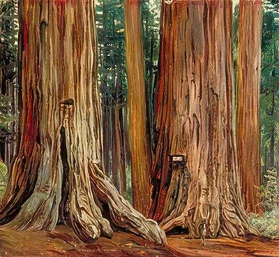 Marianne North Castor Pollux in the Calaveras Grove of Big Trees Calif A3 Print
