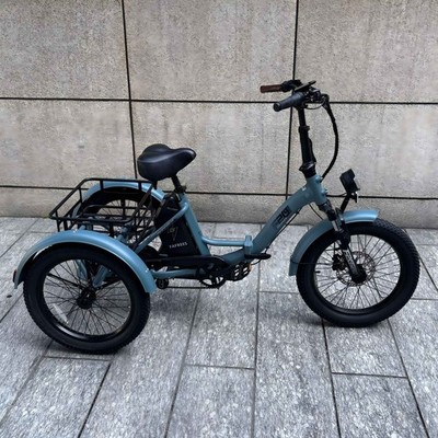 Elektro Trike 20 Zoll 3-Rad E-Bike mit Korb 250W 18Ah E-Dreirad FAFREES F20-Mate