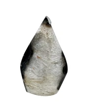 4" Black Agate & Quartz Crystal Teardrop Freeform