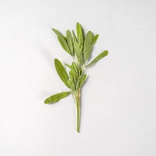 12PCS real Pressed dried leaves, Dried Grass, Floral supply for art craft FSS102