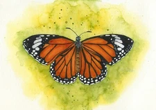 Monarch Butterfly, Wildlife PRINT from an original Watercolour Painting