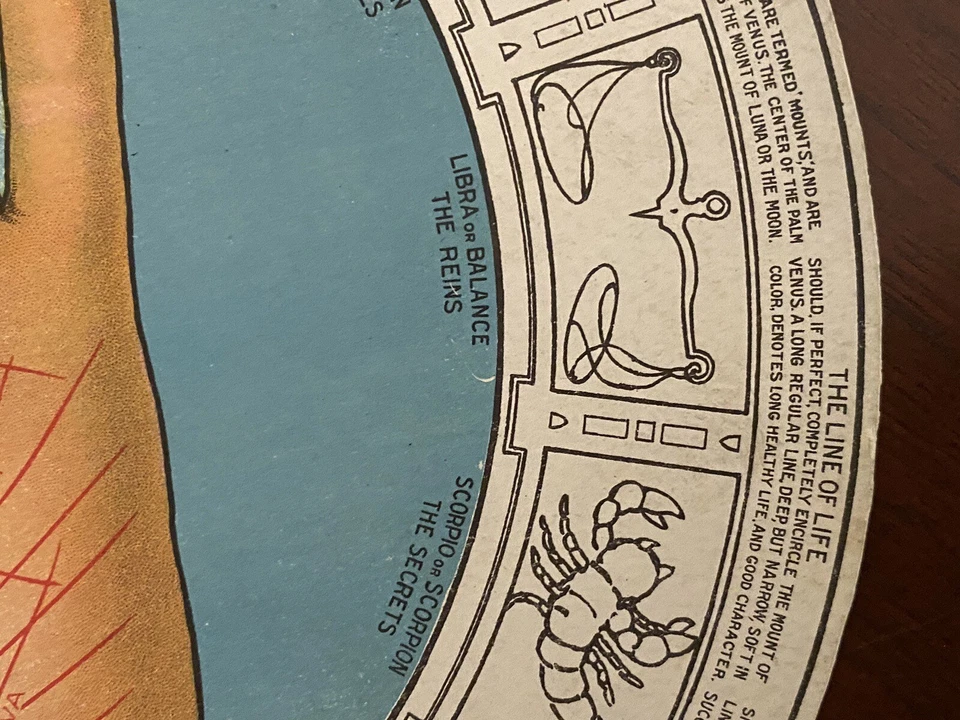 Ventilador de lectura de palma C. 1900 de quiromancia o adivinación (anuncio de farmacia en la parte posterior) Foto 4 de 4