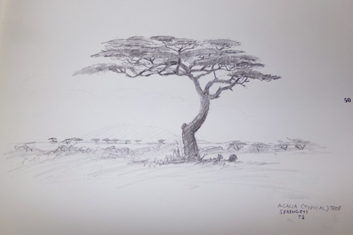 1973 RAY HARM'S AFRICAN SKETCHBOOK - Picture 3 of 4