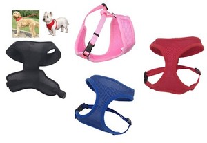 gooby harness petsmart