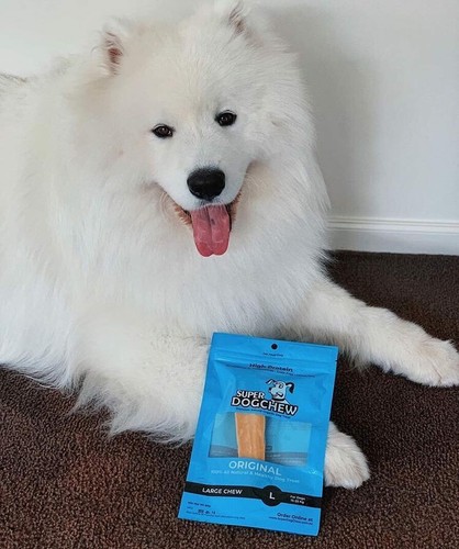 Super Himalayan Dog Chew Yaky Treat,Hard Cheese Long Lasting Natural Organic - Picture 33 of 76