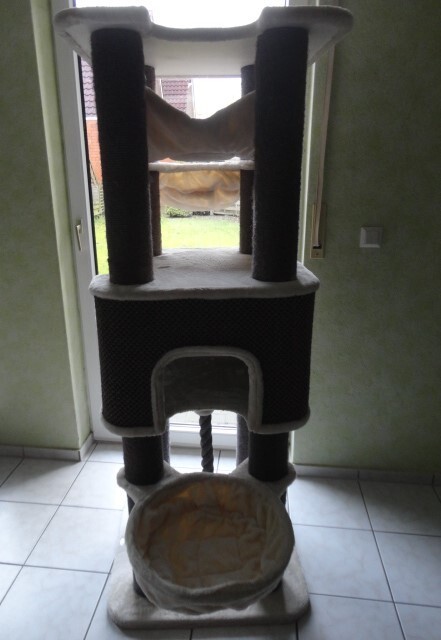 Bild 6 von 11