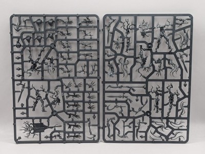 Warhammer Age of Sigmar: Sylvaneth Tree-Revenants (SPRUE0019)