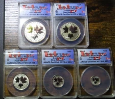 2016 Canada 9999 Silver Maple Leaf Gilt 5-Coin Set - ANACS RP PF PR 70