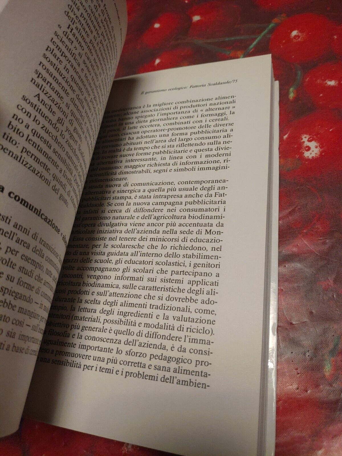 Foto 8 di 12