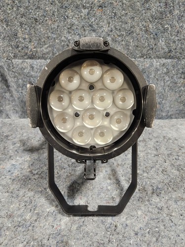 Martin RUSH PAR 2 Zoom Static LED RGBW Color Wash Par Can Luminaire Light XLR