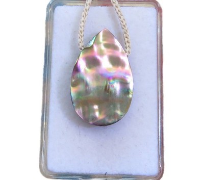 Paua Muschel Abalone Cabochon Anhänger quer gebohrt 28,8x18,3 mm Nr. 5644