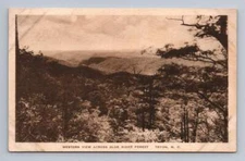 "Western View Across Blue Ridge Forest" TRYON North Carolina Antique Albertype