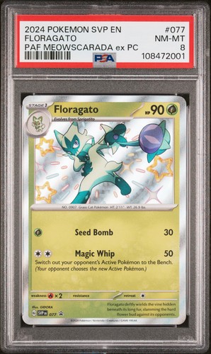 Floragato graded PSA 8 for sale on eBay