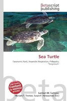 Lambert M. Surhone (U. A.) | Sea Turtle | Taschenbuch | Englisch (2026)