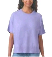 SPLENDID WOMEN'S SHORT SLEEVE KNIT TOP SIZE XXL. TAG SAYS BLUE LOOKS LAVENDER