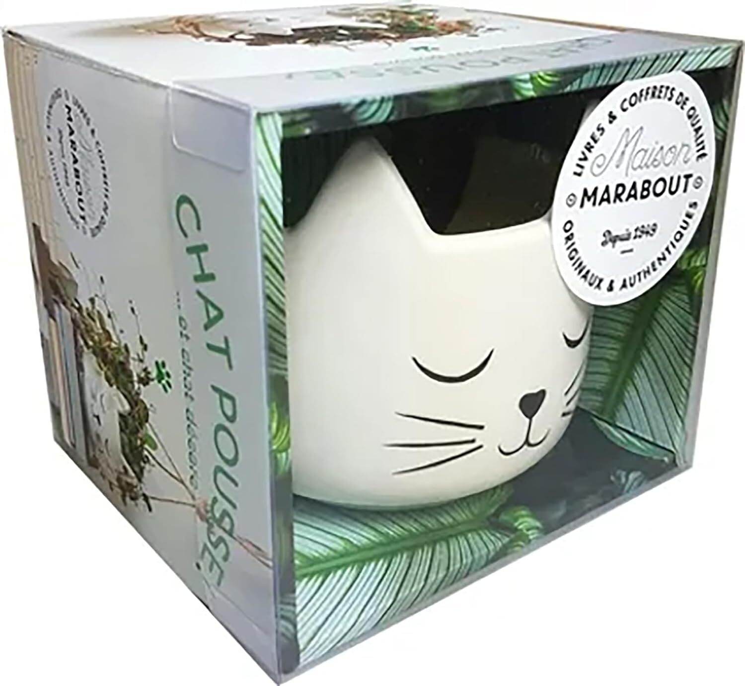 9782501160599 Coffret Chat pousse !...et chat décore: Coffret a...pendre: 31636