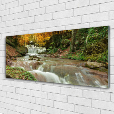 Acrylglasbilder Wandbilder aus Plexiglas  125x50 Wasserfall Wald Natur