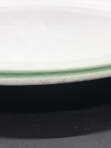 Wellsville China Restaurant Ware Serving Platter Green Airbrush Fade USA 1960 - Picture 22 of 23