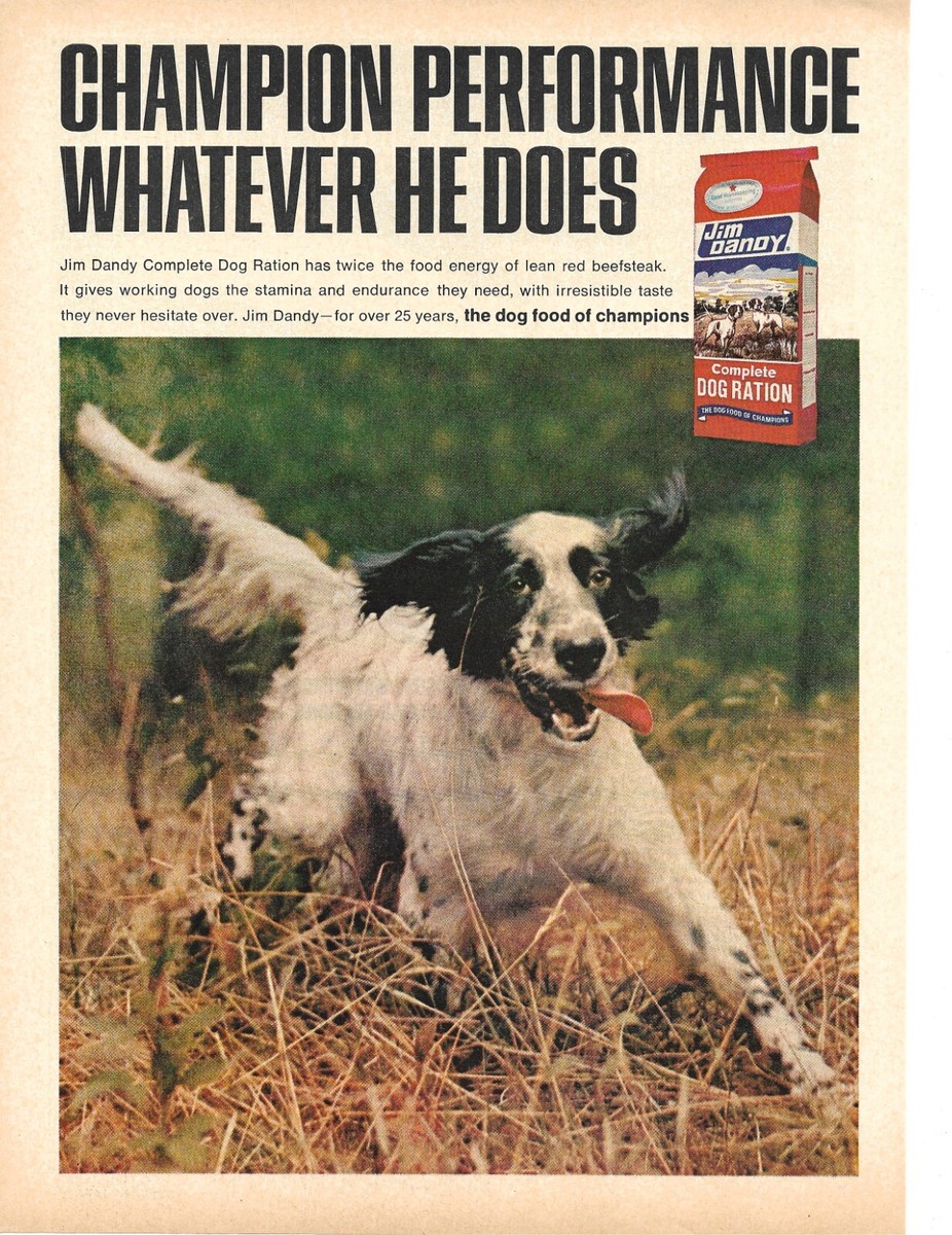 1970 JIM DANDY DOG FOOD PRINT AD, DOG RATION BIRD HUNTING DOG