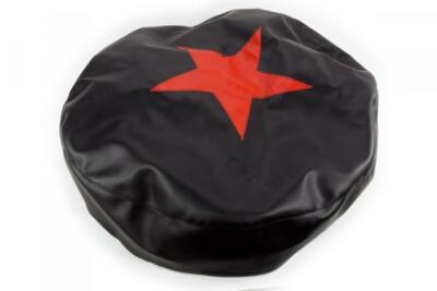 Plane (Star) for Replacement Wheel 19'' Ural, Dnepr, K750, M72. IMZ KMZ MT 9 10 11 12 16