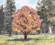 Dipinto olio originale paesaggio alberi caduta colori pallet coltello impressionismo