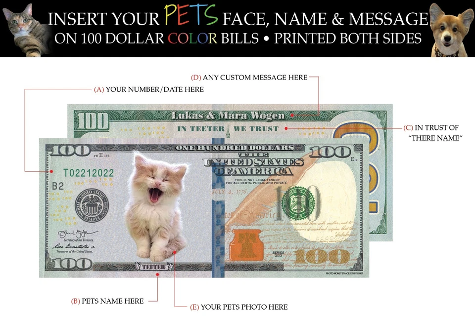 Pet Custom Money  Wedding/ Special Occas  Use In  Money Guns Photo Money - Image 2 of 2