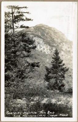 Canton ME Speckled Mountain Bear Pinewood Camps Maine Photo RPPC Postcard