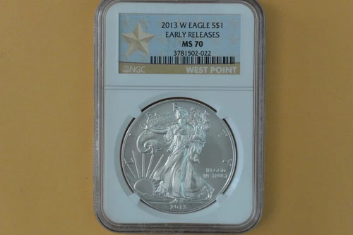 2013-W (Burnished) American Silver Eagle NGC MS70 