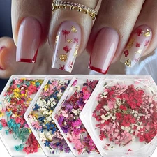 4 Boxes 3D Dried Flowers Nail Art Kit, Natural Floral Petals for DIY Manicure 