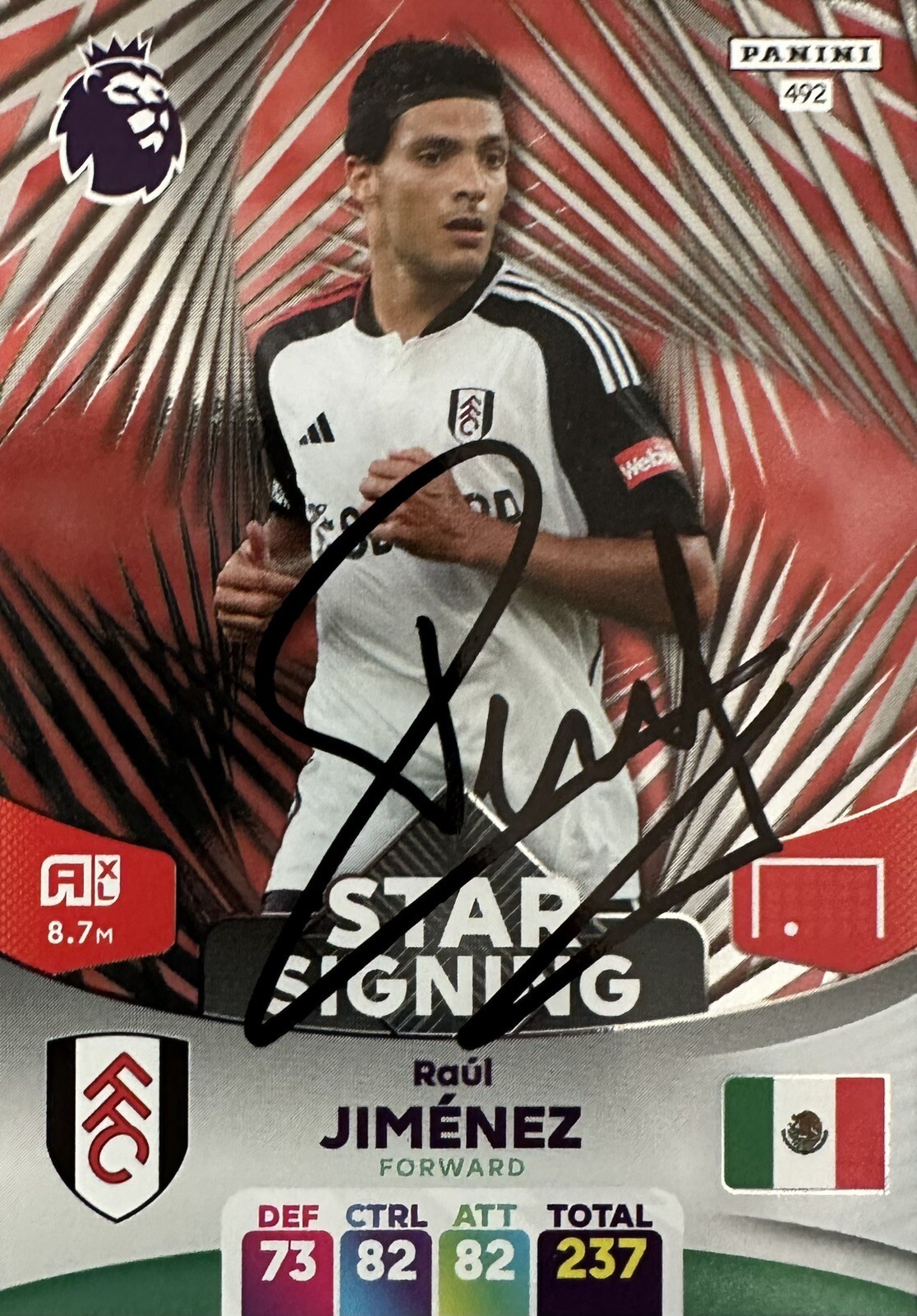 Foto 1 di 1
