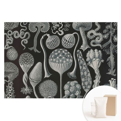 Wall Mural Easy Install Bedroom Decor Fantastic Organic Forms In Black And White