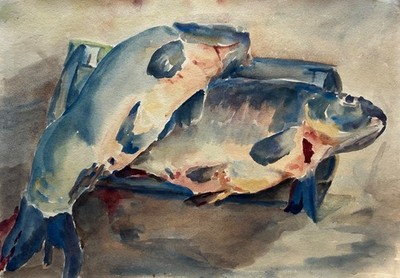 Aquarell Stillleben mit Karpfen Fische Anonym 29,6 x 41,8 cm