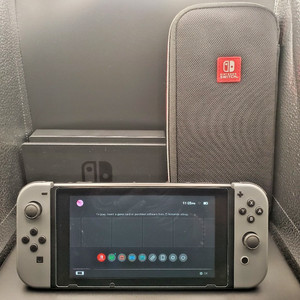 Nintendo Switch Console Gray Joy-Con Bundle w/ Dock, AC Adapter, & Case