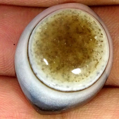 51.10Cts 100% Natural Eyes Agate Fancy Cabochon Gemstone 19X24X16MM