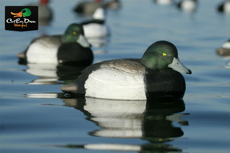 AVERY OUTDOORS GHG LIFE-SIZE BLUE-BILL DUCK DECOYS - 1/2 DOZEN - Image 4 of 4