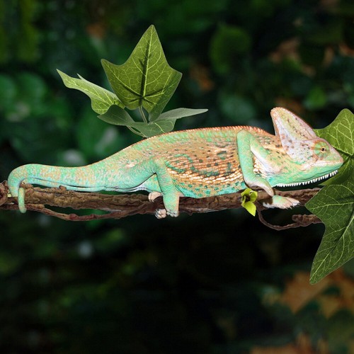 2 Pcs Lizard Toy Habitat Decor Faux achat Plants for Reptile