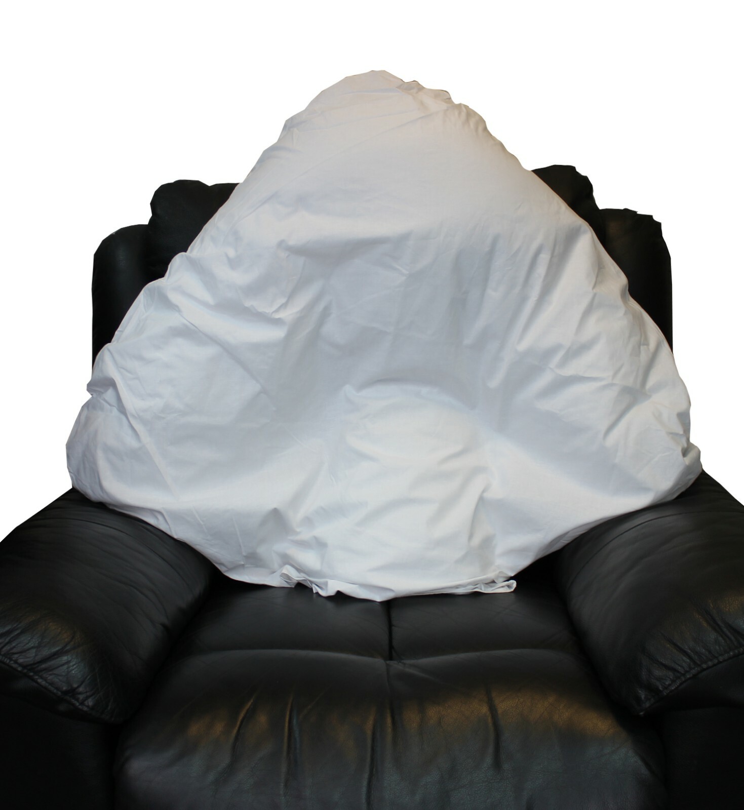 Batwing Pillow with Case Lumbar Seat Cushions Orthopaedic Back Support