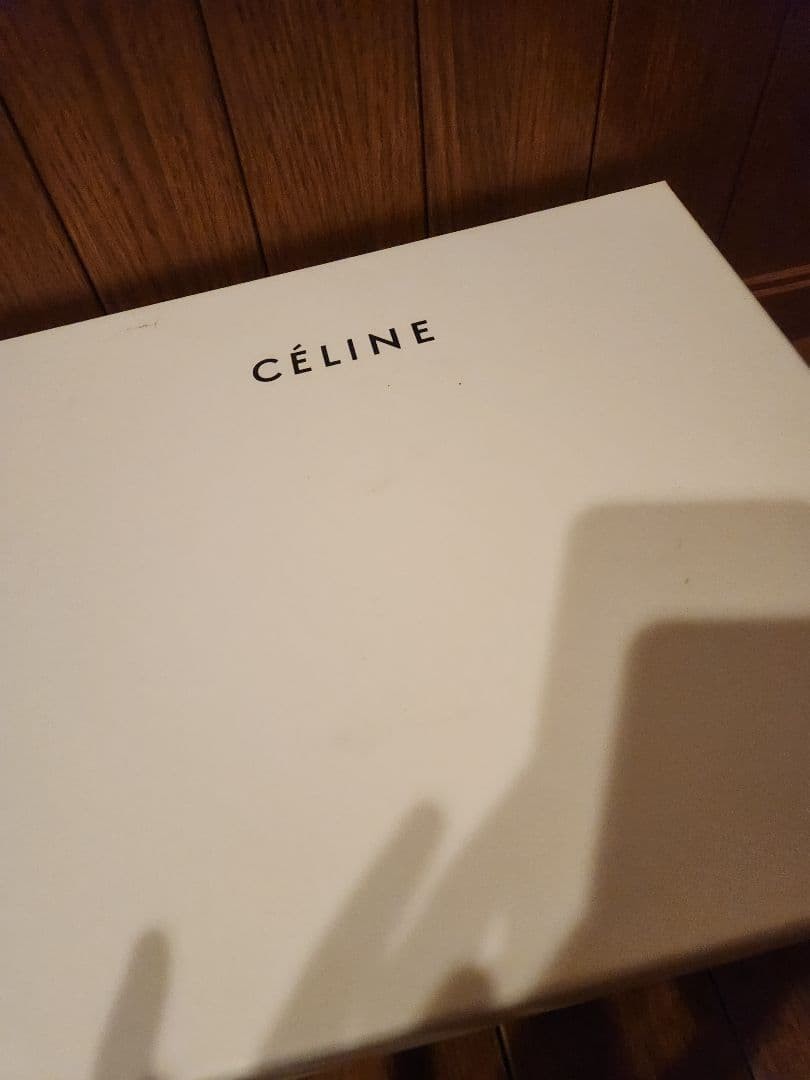 CELINE Python Sandals - image 6