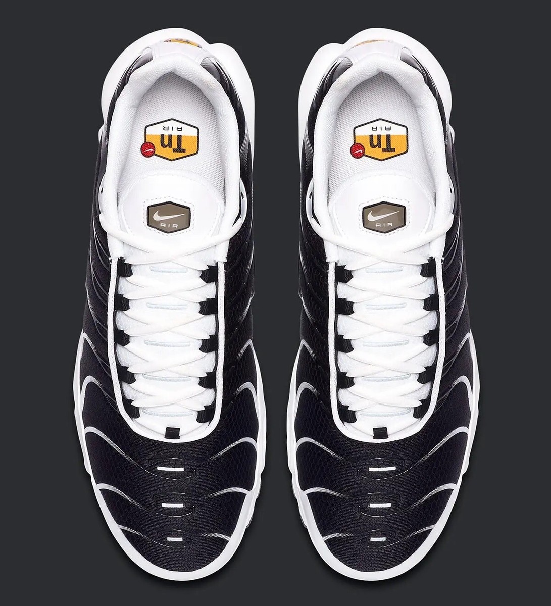killer whale tns price