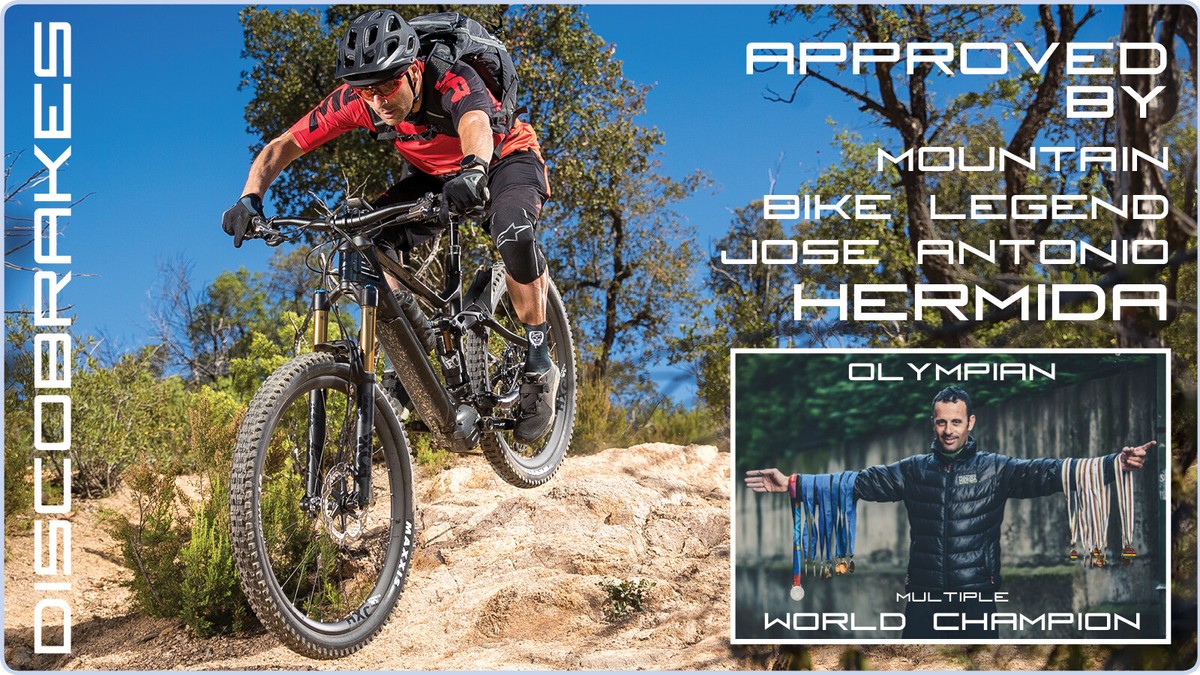 Pairs Hayes Stroker Ryde Dyno Bike Disc Brake Pads DiscoBrakes DownHill  XC MTB