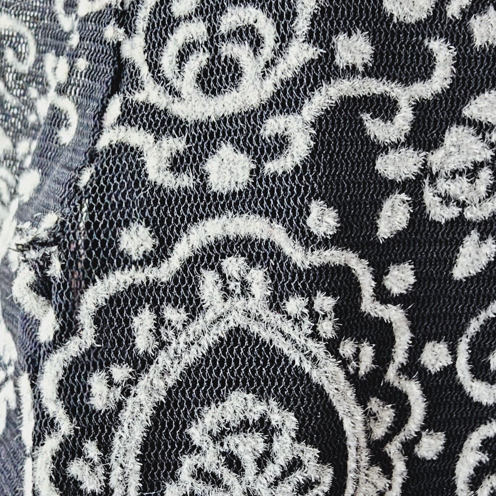 Picture 12 of 17