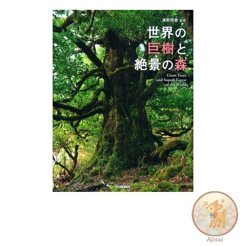 Book Giant trees and spectacular forests from around the world