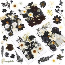 Black Dried Pressed Flowers, 120 Pcs Halloween Dried Flowers for Resin Molds