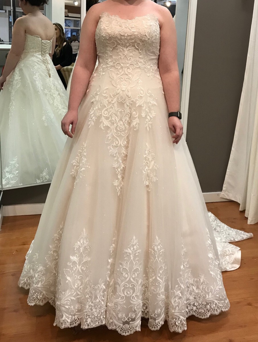 Avery Michaels wedding dress Ivory/champagne Strapless And Lace Edged Veil.  | eBay