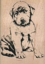 Pensive Pup 2 x 2 3/4" Rubber Stamp, Dog Stamp, Dog Lover Stamp